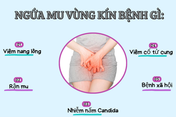 5 nguyên nhân gây ngứa mu vùng kín